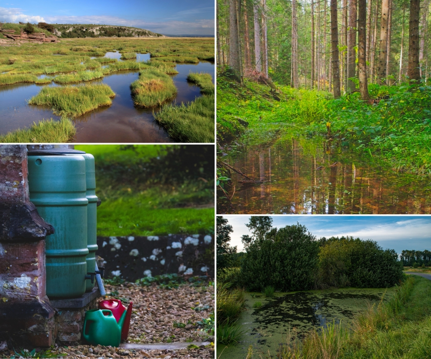 Community Composition